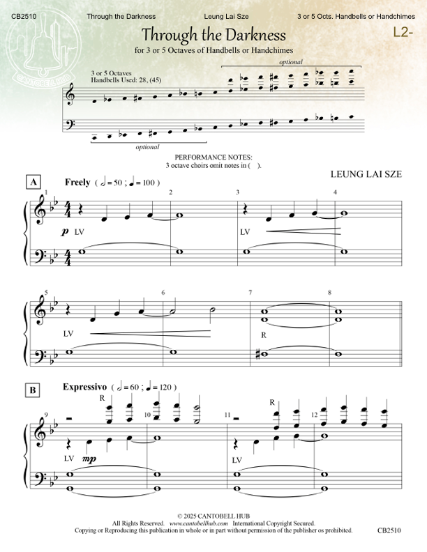 CB2510 Through the Darkness